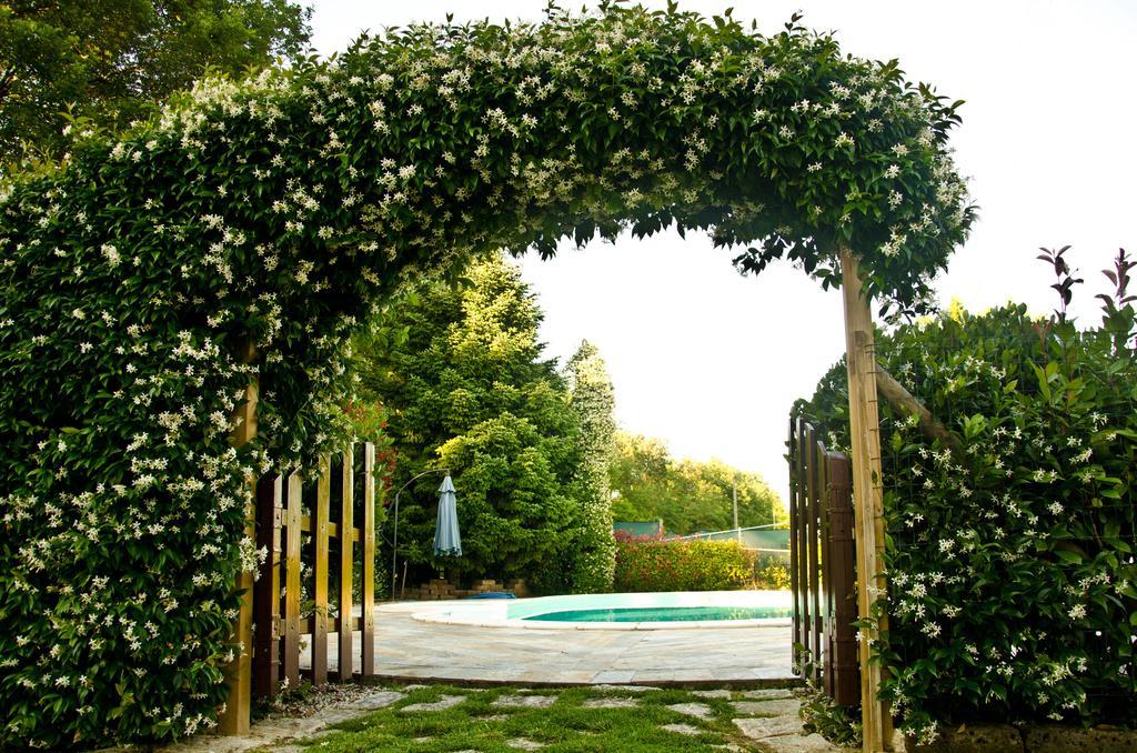 La Coccinella Bed & Breakfast เยซี ภายนอก รูปภาพ