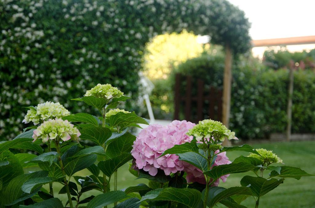 La Coccinella Bed & Breakfast เยซี ภายนอก รูปภาพ